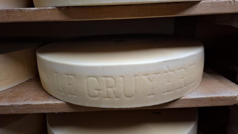 Meule de Le Gruyère AOP en cave d'affinage à la Fromagerie de Vuarmarens